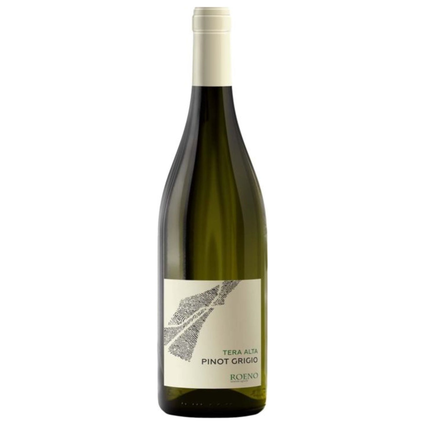 Pinot Grigio Tera Alta 2025